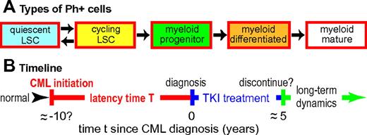Figure 1. Cell population dynamic CML models. (A) As an example, one recent model39 considers 5 leukemic cell subpopulations, as shown. For normal (ie, Ph−) cells and for TKI-resistant mutants, similar diagrams are postulated. Arrows indicate possible ways cells can move to a different subpopulation by differentiation or change of cycling status. Parameter calibration requires estimating rate parameters for proliferation, differentiation, and cell death, some of which are affected by TKI treatment such as imatinib dosing. Other current quantitative CML models differ in detail. Some consider many more subpopulations; some do not distinguish between quiescent and cycling LSCs, etc. But most of the models similarly emphasize cell population dynamics and TKI treatment. Some models also consider immune system interactions with CML (supplemental Section 1.6) or some molecular-level events, including CML initiation and/or alterations that may drive CML progression. (B) A “typical” timeline for CML. In this review, CML “initiation“ will refer to the origination of a Ph+ LSC clone sufficiently large that the probability of accidental extinction has become negligible. Current models typically assume that once such a clone has become established, clinically diagnosable CML will result after some, in general patient-dependent, latency time. Parameters relevant to the latency time are often especially problematic since little direct information is available: in humans, CML initiation and early evolution are usually cryptic, although some information about cell population dynamics toward the end of the latency time can be gathered from patients who are diagnosed at atypically early phases of CML.12