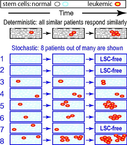 Figure 2. TKI discontinuation possibilities illustrate deterministic versus stochastic modeling differences. Suppose that: (1) CML LSCs have a growth advantage over HSCs in the absence of treatment, but a growth disadvantage under TKI treatment; and (2) treatment is discontinued when the average number of LSCs is just one. What will happen? On a deterministic model, all patients will eventually relapse, as the LSCs repopulate (here schematically indicated as exponential growth). On a more realistic stochastic model, the results are quite different, even if the average number of LSCs at each time equals the deterministic estimate at that time. Here, patients 1 and 2 were “lucky” enough to be fully LSC-free when treatment was discontinued; afterward, they remain disease-free. “Luck” refers to factors not systematically foreseeable with current techniques. Patient 7 was even luckier: both LSC clones died out accidentally, one after the other, despite their growth advantage. On the other hand, patient 8 is substantially worse off than the deterministic model would predict, while patients 5 and 6 have also been rather unlucky. Whether any of the 5 LSC-bearing patients will later suffer a clinical relapse without treatment is in part a matter of luck, but patient 8 has a comparatively large chance of relapse.