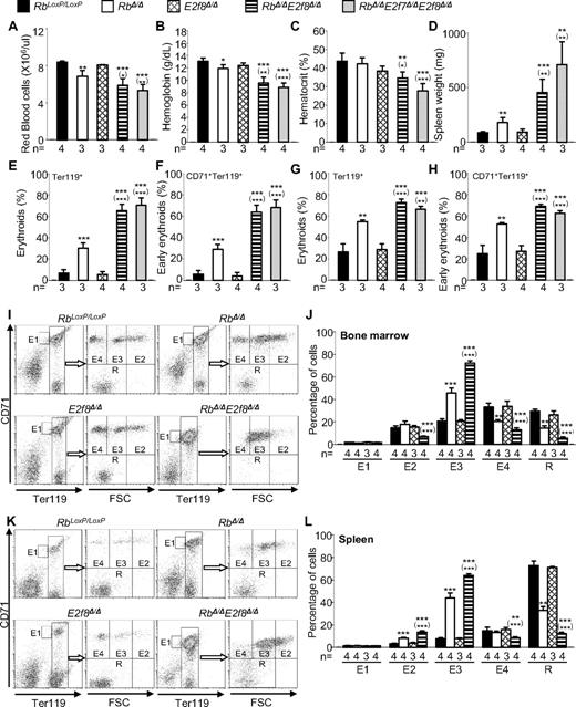Figure 5. EpoR-GFPCre–mediated inactivation of Rb and E2f8 in the erythroid compartment results in severe anemia and enhanced but ineffective erythropoiesis. (A-D) Peripheral blood RBC numbers (A), hemoglobin (B), hematocrit (C), and spleen weights (D) of mice with the indicated genotypes. (E-K) Flow cytometric analysis of spleens (E-F) and BM (G-K) using lineage-specific cell-surface markers. (I-L) Erythroid staging by flow cytometric analysis of Ter119+ BM (I-J) and spleen cells (K-L) sorted by CD71 and cell size (forward scatter, FSC). (I,K) Representative flow cytometric profiles. (J,L) Percentages of different erythroid subpopulations normalized to total Ter119+ cells.