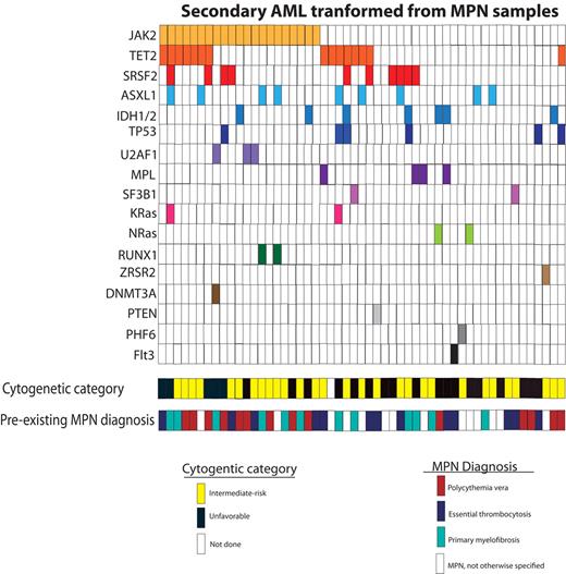 Figure 1. Distribution of mutations among patients with AML derived from a MPN. Pre-exisitng MPN diagnosis and cytogenetic risk category as defined by Slovak et al13 is listed as well.