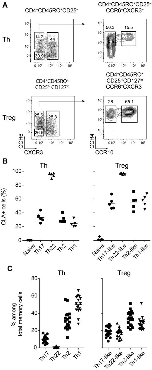 Figure 1. Chemokine receptor expression defines human Treg cell subsets. (A) Representative flow cytometric analysis of CCR6, CXCR3, CCR4, and CCR10 expression by gated CD4+CD45RO+CD25− Th cells (top panels) and CD4+CD45RO+CD25hiCD127lo Treg cells (bottom panels) from peripheral blood. (B) Expression of CLA by the indicated Th and Treg cell subsets. Each symbol represents 1 donor; horizontal bars indicate the mean. Data are from 5 donors. (C) Frequency of cells expressing the indicated chemokine receptor combinations among Th and Treg cells. Each symbol represents 1 donor; horizontal bars indicate the mean. Data are from 15 donors.