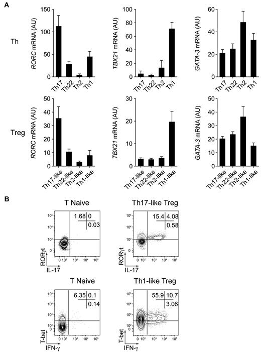 Figure 4. Th17- and Th1-like Treg cells express the lineage-specifying transcription factors RORγt and T-bet. (A) Quantitative RT-PCR analysis of RORγt (RORC), T-bet (TBX21), and GATA-3 (GATA3) expression by the indicated Th and Treg cell subsets. AU indicates arbitrary units. Data are means ± SEM of 7 donors. (B) Flow cytometric analysis of IFN-γ, IL-17, T-bet, and RORγt expression by sorted naive T cells (T naive), Th17-like, and Th1-like Treg cells stimulated for 5 hours with PMA/ionomycin. Data are representative of 3 independent experiments.