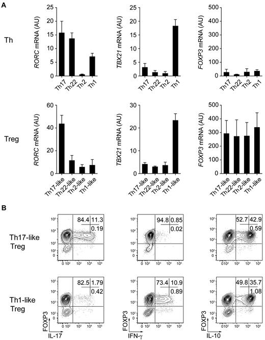 Figure 5. Th17- and Th1-like Treg cells are phenotypically and functionally stable. (A) Quantitative RT-PCR analysis of RORγt (RORC), T-bet (TBX21), and FOXP3 (FOXP3) expression by the indicated Th and Treg cell subsets after 9 days of in vitro expansion. AU indicates arbitrary units. Data are means ± SEM of 4 donors. (B) Flow cytometric analysis of FOXP3, IFN-γ, IL-17, and IL-10 expression on expanded Th17- and Th1-like Treg cells stimulated for 5 hours with PMA/ionomycin. Data are representative of 4 independent experiments.