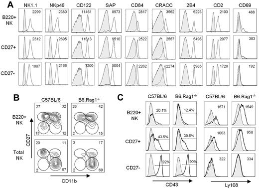 Figure 3. B220+ NK cells are phenotypically similar but not identical to mNK cells. (A) The level of expression of various NK-cell markers from C57BL/6 mice gated on B220+, CD27+, and CD27− NK-cell subsets is depicted. The mean fluorescence intensity is indicated. (B) Expression of CD11b and CD27 expression on B220+ NK cells and total CD49b+CD11clow/−B220− NK cells from both C57BL/6 and B6.Rag1−/− mice are shown. (C) Expression of NK-cell maturation markers, namely CD43 and Ly108, on B220+, CD27+, and CD27− NK-cell subsets from C57BL/6 and B6.Rag1−/− mice is shown. Results are representative of ≥ 3 independent experiments.