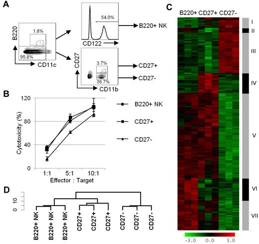 Figure 6. B220+ NK cells exhibit close homology to CD27+ NK cells. (A) Gating strategy for sorting B220+, CD27+, and CD27− NK-cell subsets from the spleen of B6.Rag1−/− mice. B220+ NK cells are selected as CD11clowB220+CD122+ cells, whereas CD27+ and CD27− NK-cell subsets are CD11c−/lowB220−CD122+ cells and are further separated according to CD27 expression. (B) The function of B220+, CD27+, and CD27− NK-cell subsets from B6.Rag1−/− mice is depicted by their cytotoxic activity toward 51Cr-labeled YAC-1 cells. The percentage-specific lysis is shown for B220+ NK cells (round), CD27+ NK cells (square), and CD27− NK cells (triangle). Results are representative of ≥ 3 experiments. (C-D) Hierarchical clustering of differentially expressed genes among B220+, CD27+, and CD27− NK-cell subsets. Three hundred twenty-six genes with an adjusted P value < .05 and an absolute fold change > 1.5 in any of the 2 comparisons (CD27+ vs B220+; CD27− vs B220+) were considered differentially expressed. (C) Gene clustering heat map is shown with the red-green scale presenting the z-transformed intensities whereby red represents a relative increase in expression and green represents a relative decrease. (D) a sample clustering dendrogram is represented from data in panel C.