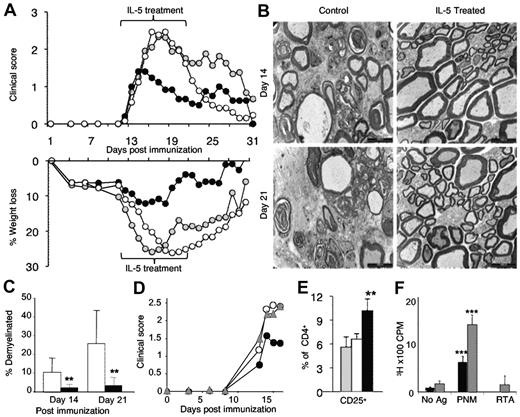 Figure 3. The effects of treatment with IL-5 after the onset of clinical EAN. (A) rIL-5 treatment (5000 U/d for 10 days; ●; n = 15) commenced on the day after onset of clinical EAN, usually day 12, reduced severity of EAN within 2 days, compared with sham-treated (gray circle; n = 10) or untreated (○; n = 13) controls. In contrast to both sham and untreated controls, rIL-5–treated animals had significantly lower clinical scores between day 15 and day 21 (P < .008) and greater weight loss between day 14 and day 26 (P < .03). At days 14 and 21 after immunization, nerves were examined. (B) Electromicrographs (bar represents 1 μm) showed major disruption with numerous demyelinated nerves and edema with mononuclear cell infiltrates in controls, whereas rIL-5–treated animals had well-preserved myelin sheaths and only occasional demyelinated nerves. (C) The area of demyelinated nerves was significantly less at both day 14 (**P < .001) and day 21 (**P < .001) in rIL-5–treated animals (■) compared with untreated controls (□; n = 10/group). (D) The specificity of the rIL-5 effect was shown by coadministration of rIL-5 and mAb that blocks IL-5 function from day 23 after immunization (gray triangle). This anti–IL-5-blocking mAb abolished the effect of rIL-5 treatment on EAN because the course of EAN in these animals was similar to untreated EAN (○; n = 5/group). rIL-5 treatment from day 13 diminished severity of EAN (●) with significant differences to the rIL-5/anti-IL-5 monoclonal treatment group at day 15 (**P = .004) and day 16 (**P = .003). The rIL-5 CD4+CD25+ T cells were prepared from these rIL-5–treated and control groups and examined at day 17 after immunization. (E) An increased number of CD4+CD25+ T cells were observed in peripheral lymphoid tissues of rIL-5–treated animals (■) compared with control EAN (□) and normal Lewis rats (▩; **P < .01). CD4+CD25+ T cells were taken from animals 4 days after rIL-5 treatment commenced. (F) Enriched CD4+CD25+ T cells from these rIL-5–treated rats only proliferated to the immunizing Ag PNM and not to unprimed autologous stimulator cells with no Ag or with RTA (***P < .001). Addition of rIL-5 (▩) to culture significantly enhanced proliferation to PNM (***P < .001) compared with cells without rIL-5 that responded to PNM (■). IL-5 had little effect on proliferation of these cells to unprimed autologous stimulators or RTA-primed stimulators. This shows that Tregs were Ag-specific and responded to IL-5.