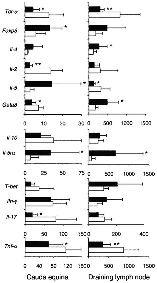 Figure 6. Effect of rIL-5 treatment on induction of inflammatory T-cell subtypes in EAN. RT-PCR of cauda equina nerves (n = 10/group; *P ≤ .05, **P ≤ .01) showed that rIL-5 treatment for 9 days after onset of EAN (■) reduced the mRNA for TCR-α (Tcr-α), indicating there were less T cells than in EAN controls (□; P < .05; n = 10/group), but enhanced foxp3 (P = .05) and Il-5rα (P < .015), consistent with infiltration of Tregs (n = 10 rat samples/group). There was reduced mRNA for Il-2 (**P < .001), a Th1 cytokine, and Il-17A (**P = .008), a Th17 cytokine, and of Tnf-α a macrophage cytokine (*P < .05), indicating reduced infiltration of these autoimmune effector cells. mRNA of Th2 cytokines Il-5 (P = .03) and Il-4 mRNA (P = .08) were similar or increased in rIL-5–treated animals, indicating sparing of Th2 compared with Th1 and Th17 cells. T-beta and Gata3 were not increased. In summary, there was enhanced Ts2-associated mRNA (Foxp3, Il-5rα, with similar Ifn-γ), whereas there was suppressed Th1 (Il-2, T-bet) and Th17 (Il-17A), and sparing of Th2 (Il-4, Il-5, Il-10) cytokines. RT-PCR of the popliteal lymph nodes draining the site of immunization showed treatment with IL-5 for 9 days after onset of EAN had less mRNA for Tcr-α (**P < .006) and Tcr-β (P < .001; data not shown) than controls (n = 10 rat samples/group). The reduced Tcr-α was consistent with the increased B-cell numbers because of the effects of rIL-5. There was more mRNA for Il-5rα (*P = .04), Foxp3 (P = .05), and Gata3 (P < .01) in the IL-5–treated animals compared with controls. There was no differences in mRNA levels for Il-2, Il-17A, Il-10, or T-bet, but mRNA for Tnf-α (**P < .002) and Il-5 (*P < .02) was reduced in the IL-5–treated animals. The increased Foxp3 and Il-5rα and unchanged Ifn-γ were consistent with the presence of Ts2 cells. There was no suppression of Th1 or Th17 responses and sparing of some but not all Th2 cytokines.