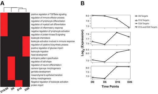 Figure 3. Evolving sets of HoxB4 targets during ESC differentiation to hematopoietic cells. (A) Evolving functional categories enriched among Hoxb4 targets during the differentiation process. Genomic coordinate Hoxb4 binding peaks were used as input to the GREAT algorithm46 for gene ontology term enrichment analysis. D6, D16, and D26 indicate Hoxb4 peaks uniquely observed in day 6, 16, 26 cells, respectively; D16/D26, Hoxb4 peaks shared uniquely by day 16 and 26 cells; red, gene ontology term enriched at FDR = 0.05; black, gene ontology term not enriched. Dendrogram was clustered using hierarchical clustering. (B) Median expression levels of the sets of genes enriched at different time points reported in panel A. Only subsets of genes that were differentially expressed and targeted by HoxB4 at specific time points in panel A were used for the plot.