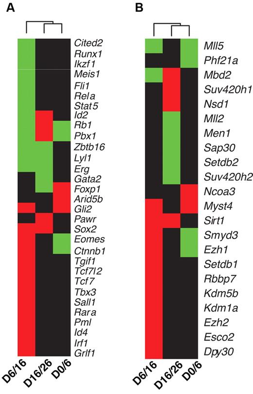 Figure 4. TFs and chromatin-modification enzymes targeted by HoxB4 and differentially expressed. (A) TFs. (B) Chromatin-modification enzymes. Differential gene expression between 2 adjacent time points was detected using the Limma algorithm16 with an FDR cutoff of 0.005. Each column in the dendrogram represents a comparison of data from 2 adjacent time points. For example, D0/D6 represents comparison between day 0 and day 6 data. Each cell represents combined gene-expression and HoxB4-binding information for a given gene; green, up-regulated and targeted by HoxB4; red, down-regulated and targeted by HoxB4; black, not targeted by HoxB4.