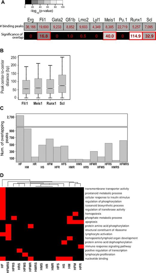 Figure 5. Binding site overlap between HoxB4 and a set of 10 hematopoiesis TFs. ChIP-Seq peaks for the set of hematopoiesis TFs were described previously.37 (A) Number of binding peaks and significance of binding-peak overlap between HoxB4 and the 10 TFs. Significance is shown as the minus logarithm of P value for binding peak overlap. P values were calculated using a permutation test (for details, see supplemental Methods). Overlapping TFs with P < .001 are highlighted in red. (B) Box plot of peak center distance between HoxB4 binding peaks and peaks of other TFs. (C) Breakdown of different classes of overlapping peaks involving the 4 significantly overlapping TFs: H, HoxB4; F, Fli1; M, Meis1; R, Runx1; and S, Scl. Class names are based on the combination of different TFs present in the binding peaks. (D) Gene ontology term enrichment analysis of different classes of combinatorial peaks. Red indicates a gene ontology term enriched at FDR = 0.05; black, gene ontology term not enriched. Dendrogram was clustered using hierarchical clustering.