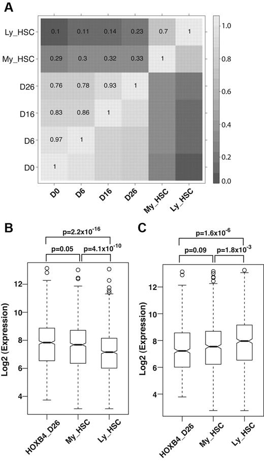 Figure 6. HSCs generated by HoxB4 overexpression have impaired lymphoid-lineage gene-expression pattern. We examined genes up-regulated in 2 subtypes of HSCs, myeloid-biased and lymphoid-biased, described previously by Challen et al referred to herein as lineage-biased genes.42 Normalized expression of lineage-biased genes from our study and Challen et al was compared. (A) Overall expression correlation of lineage-biased genes between various developing and mature HSCs. D0, D6, D16, and D26 refer to day 0, 6, 16, and 26 cells from this study, respectively. (B) Normalized expression levels of myeloid-lineage-biased genes (ie, up-regulated in My-HSCs identified by Challen et al42) in ESC-derived HSCs (day 26 cells from the present study), My-HSCs, and Ly-HSCs. (C) Normalized expression level of lymphoid-lineage-biased genes (up-regulated in Ly-HSCs identified by Challen et al42) in ESC-derived HSCs (day 26 cells from the present study), My-HSCs, and Ly-HSCs. P values are from 1-tailed t tests.