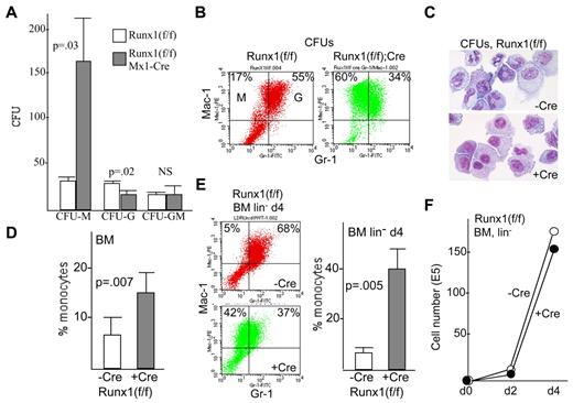 Figure 1. Absence of Runx1 favors monopoiesis over granulopoiesis. (A) Marrow mononuclear cells from Runx1(f/f) or Runx1(f/f);Mx1-Cre mice exposed to pIpC were assessed for myeloid progenitor numbers in IL-3, IL-6, and SCF per 1E4 mononuclear cells plated (mean and SE from 3 determinations). (B) Pooled CFUs were subjected to FACS analysis for Mac-1 and Gr-1. The proportions of Mac-1+Gr-1− monocytes (M) and Mac-1+Gr-1+ granulocytes (G) are indicated. (C) CFUs were cytospun and subjected to Wright-Giemsa staining. (D) Marrow mononuclear cells from Runx1(f/f) or Runx1(f/f);Mx1-Cre mice exposed to pIpC were subjected to similar FACS analysis immediately after isolation. The proportion of Mac-1+Gr-1− monocytes relative to the sum of monocytes and granulocytes is shown (mean and SE from 6 determinations). (E) Control or Runx1-deleted marrow cells were lineage-depleted and placed in liquid culture with IL-3, IL-6, and SCF and subjected to FACS analysis 4 days later. Representative data (left panels) and a summary of 3 determinations (right graph) are shown. (F) Viable cell numbers were enumerated immediately after lineage depletion of control or Runx1-deleted cells and 2 or 4 days later. A representative growth curve is shown.