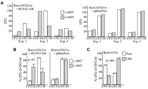 Figure 2. Exogenous Runx1 restores granulopoiesis and diminishes monopoiesis in Runx1-deleted marrow cells. (A) Marrow mononuclear cells isolated from Runx1(f/f);Mx1-Cre mice exposed to pIpC and subsequently to 5-FU were transduced with RUNX1-ER or with the pBabePuro vector, selected with puromycin, and then plated in methylcellulose with IL-3, IL-6, and SCF with or without 4HT. The absolute number of CFU-Gs or CFU-Ms per 1E4 cells plated in 3 independent transduction experiments is shown. (B) The proportion of CFU-Gs or CFU-Ms among these myeloid CFUs is shown (mean and SE from 3 determinations). (C) Marrow isolated from Runx1(f/f) mice exposed to 5-FU was transduced with pBabePuro or pBabePuro-Cre for 3 days, followed by puromcyin selection for 2 days. Cells were then plated in methylcellulose with IL-3, IL-6, and SCF, and CFUs were enumerated 8 days later. Shown is the percentage of CFU-Gs and the percentage of CFU-Ms among CFU-Gs plus CFU-Ms (mean and SE from 3 determinations).