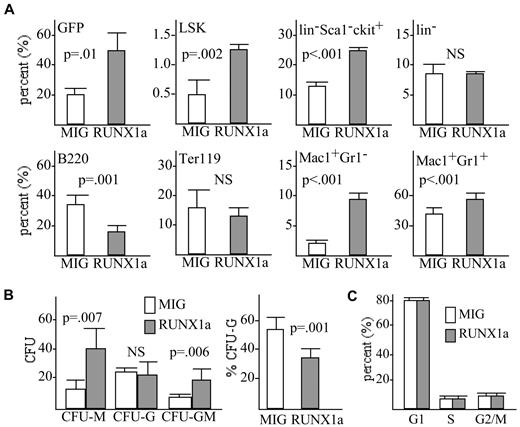 Figure 3. Dominant inhibition of Runx1 by RUNX1a favors monopoiesis over granulopoiesis. (A) WT marrow cells transduced with RUNX1a or with the empty MIG retroviral vector were transplanted into irradiated, syngeneic recipients, and the proportion of marrow cells expressing GFP was determined 4 weeks later. The proportions of LSK, lin−c-kit−Sca-1+, lin−, B220+, Ter119+, Mac-1+Gr-1−, or Mac-1+Gr-1+ cells among the GFP+ cells were also assessed by FACS analysis (mean and SE from 3 determinations). (B) GFP+ cells were sorted and assessed for myeloid CFUs per 1E4 cells plated after culture in methylcellulose with IL-3, IL-6, and SCF (left; mean and SE from 3 determinations). The proportion of CFU-Gs relative to CFU-Gs plus CFU-Ms among these CFUs is also shown (right). (C) Cells isolated 4 weeks after transplantation were stained with propidium iodide, and the proportion of cells in the G1, S, or G2/M cell cycle phases was enumerated among GFP+ cells (mean and SE from 3 determinations).