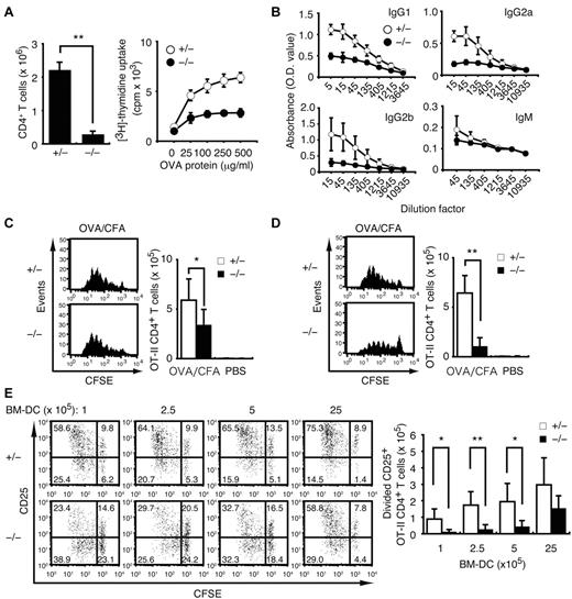 Figure 2. Dock8−/− DCs fail to activate T cells effectively in the draining LNs after subcutaneous injection. (A) Effect of DOCK8 deficiency on T-cell response 7 days after OVA immunization. The number of CD4+ T cells in the popliteal LNs (n = 3 mice per group) and their proliferative response to OVA were compared between Dock8+/− and Dock8−/− mice. (B) Serum concentrations of OVA-specific IgG1, IgG2a, IgG2b, and IgM were compared between Dock8+/− and Dock8−/− mice 14 days after immunization (n = 4 mice per group). (C-D) Effect of DOCK8 deficiency in donor T cells (C; n = 8 mice per group) or recipient mice (D; n = 6 mice per group) on proliferation and expansion of the OT-II–transgenic CD4+ T cells was analyzed 72 hours after OVA immunization. PBS was used as a control. (E) Effect of DOCK8 deficiency in BM-derived DCs on proliferation and expansion of the OT-II–transgenic CD4+ T cells was analyzed 72 hours after subcutaneous injection of OVA peptide–pulsed DCs (n = 6 mice per group). In panels C through E, the OT-II–transgenic CD4+ T cells were inoculated 24 hours before immunization or DC transfer. Data are expressed as means ± SD with representative flow cytometric profiles. *P < .05; **P < .01. Data are representative of 4 (A) or 2 (B) independent experiments, and are from 8 (C) or 6 (D-E) separate experiments.