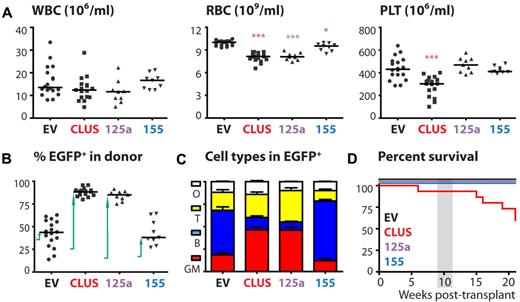 Figure 3. Sustained expression of miR-cluster 99b/let-7e/125a or miR-125a alone disturbs hematopoiesis. (A) WBC, RBC, and platelet counts at 10 weeks after transplantation (n = 9-18 mice/group). P values (*.01 < P < .05; ***P < .001) are displayed (Mann-Whitney test). (B) Chimerism levels were assessed at 10 weeks after transplantation by analyzing the percentage of EGFP+ cells in the donor fraction (n = 9-18 mice/group). The arrows indicate the increase in chimerism levels over the first 10 weeks after transplantation. (C) Cell-type distribution in the blood as assessed by FACS (n = 9-18 mice/group). Shown is the mean ± SEM (D) Survival of mice (n = 9-18 mice/group). The gray box indicates the time point analyzed in the other panels. WBC indicates white blood cells; RBC, red blood cells; PLT, platelets; GM, granulocytes/macrophages; B, B lymphocytes; T, T lymphocytes; and O, other cell types.