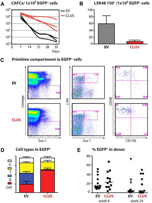Figure 5. Effects of sustained expression of miR-cluster 99b/let-7e/125a on the stem cell compartment. (A) CAFC data showing the number of HSPCs in the EGFP+ BM fraction of 3 individual empty vector and (nonmorbid) miR-cluster 99b/let-7e/125a mice at ∼ 21 weeks posttransplantation. (B) Frequency of LT-HSCs (Lin−Sca-1+c-Kit+CD48−CD150+) per 1 × 106 EGFP+ BM cells at 21 weeks posttransplantation. Analyses were performed using FlowJo software (TreeStar), followed by quantification of the number of LT-HSCs (n = 3/group, same mice as described in panel A). Shown is the mean ± SEM. (C) Representative FACS plots of the EGFP+ primitive BM compartment at 21 weeks after primary transplantations. (D) Cell-type distribution in the blood of empty vector and miR-cluster 99b/let-7e/125a mice upon secondary transplantations as assessed by FACS at 24 weeks posttransplantation. Shown is the mean ± SEM (n = 15 mice/group). (E) Chimerism levels at 6 and 24 weeks after secondary transplantation (n = 15 mice/group). GM indicates granulocytes/macrophages; B, B lymphocytes; T, T lymphocytes; and O, other cell types.