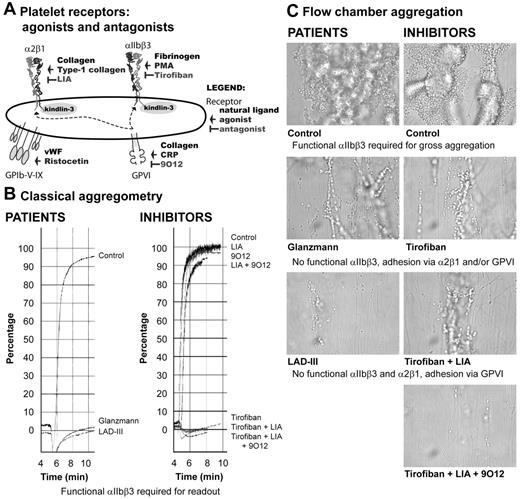 Figure 1. Classic aggregometry and flow chamber perfusion assay. (A) Scheme representing the integrin and nonintegrin receptors studied, with their natural ligand, agonist, and antagonist indicated. (B) Aggregation of control, Glanzmann, and LAD-III platelets (left) or control platelets preincubated with different antagonists (right) upon stimulation with 10 μg/mL collagen measured by light transmission aggregometry. (C) Binding of control, Glanzmann, and LAD-III platelets (left) or control platelets preincubated with different antagonists (right) to collagen-coated slides. Pictures were taken using an EVOS fl (fluorescence) digital inverted microscope by Advanced Microscopy Group at 600× magnification using an 60×/1.35 oil objective. The imaging medium was PBS. The EVOS fl contains a CCD camera and EVOS fl software was used for acquiring images. Adobe Suite CS 5 Photoshop was used to adjust brightness and contrast.