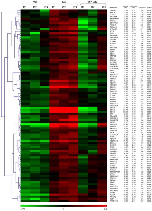 Figure 2. c-MYC–dependent genes in M2 macrophages. Microarray analysis was conducted on 3 independent preparations of resting macrophages (M0) and macrophages exposed to 20 ng/mL of IL-4 for 24 hours in the presence or absence of the c-MYC inhibitor 10058-F4 (60μM; M2 inh and M2, respectively). Hierarchical clustering of genes induced by IL-4 (fold of induction ≥ 2 and P ≤ .05 on a 2-tailed paired Student t test comparing M2 vs M0) with induction significantly affected by c-MYC inhibition is shown (P ≤ .05 on a 2-tailed paired Student t test comparing M2 inh and M2). Genes not significantly affected by c-MYC inhibition are shown in supplemental Figure 3. Columns report gene names in the HUGO nomenclature, the -fold of increase of genes in M2 versus M0 in the absence or presence of c-MYC inhibitor (M2/M0 ratio and M2 inh/M0 ratio, respectively), and the percentage and statistical significance of inhibition of gene induction in the presence of c-MYC inhibition.