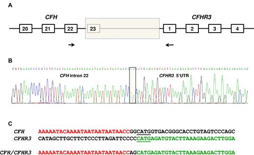Figure 2. Identification of the deletion breakpoint. (A) The breakpoint of the deletion (shaded box) was identified in genomic DNA using a forward primer (indicated by the forward arrow) in CFH exon 22 and a reverse primer (indicated by the reverse arrow) in CFHR3 exon 1. (B) Sequence of the breakpoint. Two nucleotides (AG) interposing between CFH intron 22 sequence and CFHR3 5′-UTR sequence (shaded box). (C) CFH and CFHR3 sequence flanking the breakpoint. Microhomologous sequence adjacent to the breakpoint is underlined.