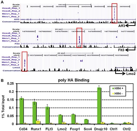 Figure 2. Validation of Hoxa9 and Meis1 binding sites identified by ChIP-Seq. (A) For each binding site, enrichment profiles are shown for 2 replicates of Hoxa9 and Meis1 ChIP-Seq, with corresponding genomic annotation displayed as UCSC mm8 tracks at the Aff3, Flt3, and Lmo2 loci. A locus is deemed a high-confidence Hoxa9 and Meis1 binding site if it is bound by either Hoxa9 or Meis1in both of the replicate sequencing runs. The sequence tags of nonsignificant peak regions (FDR P < .01) are not displayed. The binding sites are highly conserved as shown by the Phastcon17 conservation track below. No significant binding was detected in the 2 control lanes at any of the regions shown. (B) Confirmation of selected Hoxa9 and Meis1 binding sites by ChIP and quantitative PCR. ChIP experiments were performed with polyclonal anti-HA Abs on HA epitope-tagged Hoxa9-ER/Meis1–transformed myeloblastic cell (HM4) used for ChIP-Seq experiments as described in “Experimental procedures.” Green bars represent PCR signal as a percentage of input for ChIP on cells cultured for 96 hours in the presence of 4-OHT, whereas yellow bars represent ratios for cells cultured for 96 hours in the absence of 4-OHT. These experiments show that Hoxa9 binds at high levels to ChIP-Seq–identified binding sites but not at control peaks and that the Hoxa9 enrichment disappears on 4-OHT withdrawal.