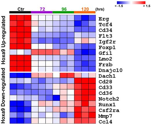 Figure 4. Heatmap showing temporal expression of subset of Hoxa9-regulated genes closely associated with Hoxa9 and Meis1 binding sites. A subset of genes are shown that are significantly differentially expressed over the 120-hour period after 4-OHT withdrawal (FDR P < .05 and median fold change > 1.5) compared with controls. Data are normalized across samples such that the expression value of each individual gene has zero mean and SD of 1. Many of the up-regulated genes shown have been directly implicated in leukemogenesis in both human studies and animal models (see text). Many of the down-regulated genes are involved in myeloid differentiation. Heatmaps of the entire set of differentially regulated genes are provided in supplemental Figure 4, and additional information on statistical analysis is provided in supplemental Data.