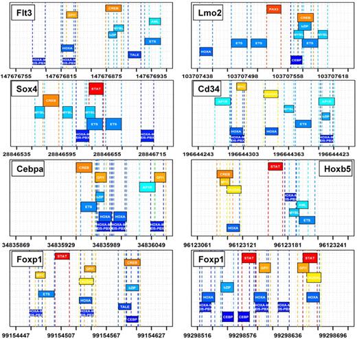 Figure 6. Examples of motifs enriched in Hoxa9-associated enhancers. Enriched motifs, each depicted as a colored rectangular box, are plotted for the central 200 bp of 8 representative Hoxa9-bound enhancers. These Hoxa9 enhancers are highly enriched for HOX, HOX-MEIS-PBX, CREB, MYB, CAUDAL, ETS, MYC, and STAT sites, among others. All motifs shown are significantly enriched in these Hoxa9 enhancers compared with random genome background (Motif Enrichment Analysis; supplemental Data). An enrichment statistic is computed with z-test comparing the observed frequencies (in H/M peaks) versus the expected frequencies (in random genomic background; P < .001). A complete compendium of motifs is provided in supplemental Data.