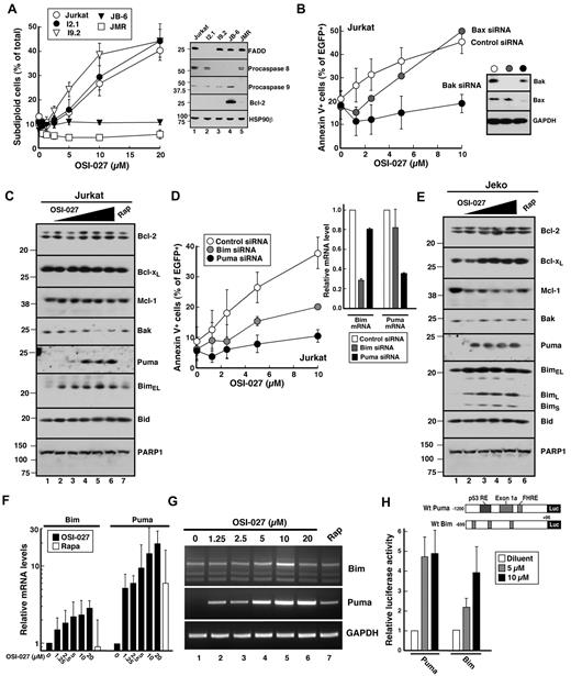 Figure 6. OSI-027 induces Puma- and Bim-dependent apoptosis. (A) Parental Jurkat cells and Jurkat variants lacking critical apoptotic pathway components (inset) were treated for 48 hours with OSI-027, stained with PI and analyzed as illustrated in Figure 5D. Error bars, mean ± SEM of 3 independent assays. (B,D) Twenty-four hours after transfection with control siRNA or siRNA targeting Bax or Bak (B) or Bim or Puma (D) along with plasmid encoding EGFP-histone H2B (to mark successfully transfected cells), Jurkat cells were harvested to assess target down-regulation or treated for 48 hours with the indicated concentration of OSI-027, stained with APC–annexin V, and analyzed by 2-color flow cytometry to assess annexin V binding in EGFP-histone H2B+ cells. Error bars, mean ± SEM of 3 independent assays. Insets, immunoblots (B) or qRT-PCR (D) demonstrating down-regulation of the targeted protein or message, respectively. (C,E) After Jurkat (C) and Jeko cells (E) were treated for 48 hours with diluent (lanes 1); OSI-127 at 1.25, 2.5, 5, 10 or 20μM (lanes 2-6); or 10nM rapamycin (lane 7) in the presence of the caspase inhibitor Q-VD-OPh (5 μM) to inhibit apoptosis,22 whole cell lysates28 were subjected to SDS-PAGE followed by immunoblotting with antibodies that recognize the indicated antigen. PARP1 served as a loading control. (F-G) After Jurkat cells were treated for 48 hours with diluent, OSI-027 at the indicated concentration or 10nM rapamycin in the presence of 5μM Q-VD-OPh, RNA was isolated and subjected to conventional RT-PCR or qRT-PCR. Noxa and GAPDH served as controls. Results in panel F, geometric mean of 3 independent experiments. (H) Beginning 24 hours after transfection with the indicated reporter construct, Jurkat cells were treated for 48 hours with diluent or OSI-027 at the indicated concentration in the presence of 5μM Q-VD-OPh and cell lysates were assayed for firefly luciferase. Error bars, mean ± SD of 4-6 independent experiments.