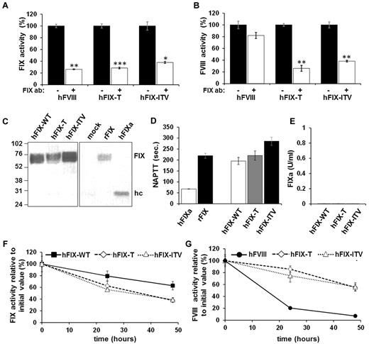 Figure 3. FIX variants are the source of FVIII-bypassing activity. (A-B) Neutralization of hFIX variants by mouse anti-hFIX Ab (clone HIX-1). Aliquots of hFIX-WT, hFIX-T, and hFIX-ITV or hFVIII were incubated with (white bars) or without (black bars) anti-hFIX Ab for 2 hours at 37°C. Subsequently, activities in FIX-deficient (A) or FVIII-deficient (B) plasma were determined by one-stage assay. Each bar represents the mean value of 3 independent measurements ± SEM. *P < .05, **P < .01, and ***P < .001 (Student t test) for comparison between measurements with or without Ab incubation for each protein. (C) Western blotting: lane 1 is hFIX-WT; lane 2, hFIX-T; lane 3, hFIX-ITV; lane 4, supernatant of mock-transfected 293T cells; lane 5, recombinant hFIX control (BeneFIX); and lane 6, hFIXa control. Zymogen or FIXa was detected using an anti-hFIX mAb directed toward the heavy chain of hFIX. After denaturation of the protein on SDS-PAGE, the uncleaved zymogen FIX can be identified at 70 kDa or the cleaved heavy chain at 27 kDa. Recombinant FIX (rFIX; BeneFIX) was used as a control for the FIX zymogen and FIX activated by FXIa as a control for FIXa. (D) Spurious contamination of FIX preparations by FIXa were excluded using 5 μg/mL of FIX-WT, FIX-T, FIX-ITV, or BeneFIX in an NAPTT assay sensitive to activated proteases. FIXa at a concentration of 0.2 μg/mL was used as positive control. Each bar represents the mean value of 6 independent tests with error bars ± SEM. (E) Residual FIXa activity was quantified via chromogenic assay specific for FIXa. Proteins were applied at a concentration of 2.5 μg/mL. Measured FIXa activity was negligible (no bars). (F-G) Stability of hFIX variants, hFIX-WT, or hFVIII controls in human FIX- or FVIII-deficient plasma. After incubation, samples were assayed for FIX (F) or FVIII (G) activity. Each dot represents the mean value of 3 independent tests for each sample with error bars indicating the SD.