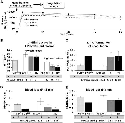 Figure 4. In vivo efficacy of hFIX variants. (A) hFIX variant expression over time in groups of C57Bl/6 mice after hydrodynamic minicircle gene transfer to the liver at a dose of 7.5 μg/mouse for FIX-T (n = 5), FIX-ITV (n = 7), and FIX-WT (n = 5). (B) aPTT-based 1-stage assay in mouse plasma from groups of FVIII-KO mice treated with hFIX-WT or variant vectors at doses of 7.5 or 25 μg/mouse. (C) TAT complex levels in FVIII-KO mice after hFIX variant minicircle gene transfer at 25 μg/mouse. (D-E) Blood loss assay after tail dissection at 1.5-mm (D) or 3-mm (E) diameter in FVIII-KO mice receiving minicircle doses of 25 μg/mouse. Blood loss was measured by optic density measurement at 492 nm of hemoglobin lost over a period of 10 minutes. For all experiments, hFIX expression levels were determined by FIX ELISA. *P < .05 and **P < .01 according to ANOVA with Dunnett test for multiple comparisons with the corresponding FIX-WT group.