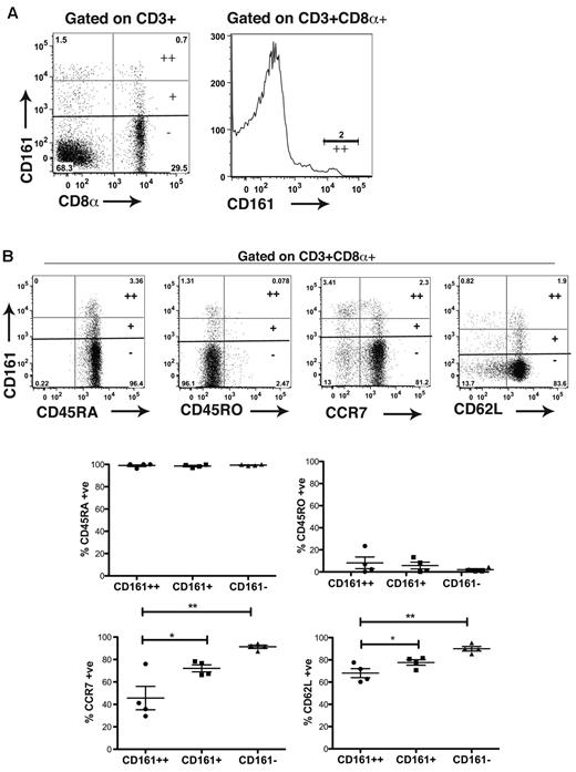 Figure 2. A naive CD161++CD8α+ T-cell population can be identified in cord blood. (A) Representative FACS plot shown of cord blood showing the CD161++CD8α+ cell population. Data representative of 22 cord samples. (B) CD161++CD8α+ T cells in cord blood are CD45RA+, CD45RO−, CCR7low, and CD62Llow. Representative FACS plots and cumulative data shown. **P < .001, *P < .05 (1-way ANOVA).