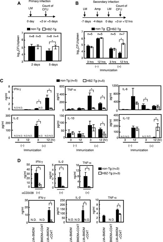 Figure 2. HBZ-Tg mice show decreased immune response to primary and secondary infection with LM. Bacterial loads of spleens from mice challenged with LM in primary (A) and secondary (B) infection are shown. (C) Concentrations of IFN-γ, TNF-α, IL-2, IL-6, and IL-12 in serum and IL-10 in homogenized spleen supernatant from the secondarily infected mice. (D) Cytokine production by CD4 T cells from secondarily infected mice. Mice were immunized as shown in panel B. CD4 T cells were stimulated ex vivo with mAbs to CD3 and CD28 or with LM-infected WT-BMDMs. Bars represent the mean ± SD of all mice per genotype. Two independent experiments have been performed; representative results are shown. *P < .05 by Student t test. N.D. indicates not detected.
