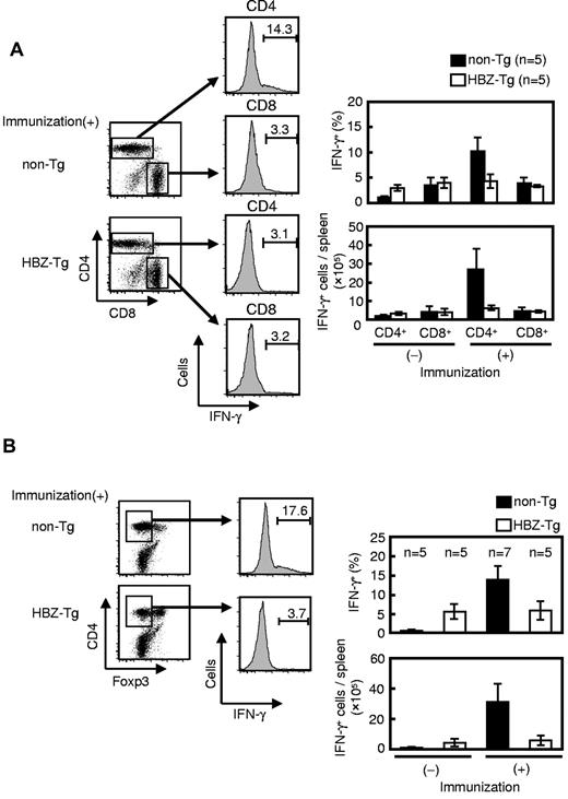 Figure 3. IFN-γ production by CD4 splenocytes from LM secondarily infected HBZ-Tg mice decreases in CD4+ Foxp3− T cells. Mice were immunized and challenged as shown at the top of Figure 2B, and their splenocytes were harvested at 12 hours after challenge and analyzed for intracellular IFN-γ production. (A) Splenocytes were gated by CD3 expression, and IFN-γ production was measured in living CD4 or CD8 T cells using FACS. (B) IFN-γ production in CD3+ CD4+ Foxp3− cells was determined. Bars represent the mean ± SD of all mice per genotype. Two independent experiments have been performed.