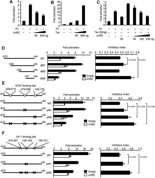 Figure 5. sHBZ suppresses IFN-γ promoter activity. Luciferase assay of the IFN-γ promoter reporter constructs (−670 to +64) cotransfected with an expression plasmid for sHBZ (A), Tax (B), or both (C) is performed in Jurkat cells, which were stimulated with PMA and ionomycin. Luciferase assays of reporter plasmids containing deletions (D) or point mutations in the NFAT (E) or AP-1 (F) consensus-binding region of IFN-γ promoter are performed. The positions of the deleted or mutated regions are indicated in the left of each graph. Consensus sequences for NFAT and AP-1 binding sites were mutated. Inhibitory index is represented as a ratio of fold activation with empty vector or HBZ expression vector. Representative data (mean ± SD) from 2 independent experiments in triplicate are shown.