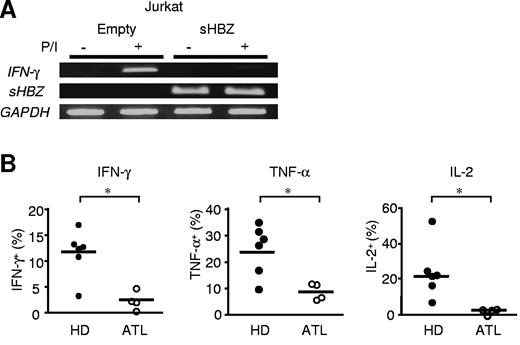 Figure 7. IFN-γ production is suppressed in sHBZ-expressing Jurkat cells and PBMCs of ATL patients. (A) sHBZ inhibits IFN-γ gene transcription after stimulation with PMA and ionomycin. Transcripts of the IFN-γ and sHBZ genes were analyzed by RT-PCR. (B) IFN-γ, TNF-α, and IL-2 production by CD4 T cells in PBMCs from healthy donors (HD; n = 6) and ATL patients (n = 4). PBMCs were separated from the peripheral blood and then stimulated with PMA and ionomycin for 5 hours. Thereafter, intracellular production of Th1 cytokines in living cells was measured by flow cytometry. The y-axis indicates the percentages of cytokine-producing cells in CD4 T cells. *P < .05 by Student t test.