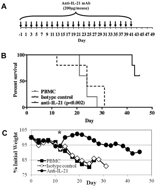 Figure 2. Anti–IL-21 mAb treatment reduces lethality and weight loss in a xenogeneic model of GVHD. NOD/SCID/γc−/− mice receiving human PBMCs (30 × 106 cells) were treated with anti–IL-21 mAb or isotype control to assess potency for preventing xenogeneic GVHD. (A) Schematic showing the antibody dosing schedule: 200 μg per injection; injections starting on day −1, and 3 times weekly for 6 weeks. (B) Kaplan-Meier survival curves for mice receiving PBMCs only (solid gray line) or PBMCs plus anti–IL-21 mAb (solid black line) or isotype control (dashed black line). (C) Average weight (percentage of initial) for mice surviving on a given day for different groups of mice. *P ≤ .05 for anti–IL-21 from days 14 to 24. n = 5 mice for each group. Two independent experiments were performed with similar results.