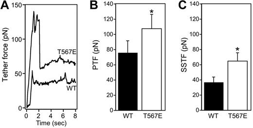 Figure 2. Ezrin T567E transgenic lymphocytes have increased membrane tension. (A) Representative single tether force traces are shown for WT and ezrin transgenic T567E T-cell blasts. (B-C) Bar graphs showing mean ± SE of the PTF and the SSTF from WT (solid fill) and T567E (white fill) T-cell blasts. (WT PTF, 75.9 ± 15.7; WT SSTF, 36.8 ± 7.1; T567E PTF, 107.8 ± 18.5; T567E SSTF, 64.8 ± 10.9). *Populations are significantly different (P < .05). The PTF represents the force required for successful formation of a membrane tether. The PTF has a small contribution from the force required to overcome the membrane's resistance to a change in shape and a larger contribution from the force required to break membrane-cytoskeleton adhesion bonds.32