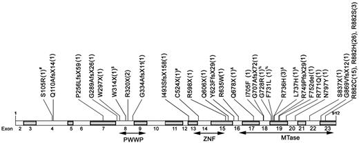 Figure 1. Patterns and locations of the 30 different positions of mutations. The positions and predicted translational consequences of DNMT3A mutations detected in 500 AML samples are shown. The number of patients with the mutation is indicated in the parentheses behind each mutation. #, %, &, and $ indicate that the patient has 2 mutations.