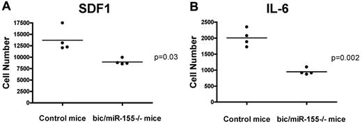 Figure 4. Chemotaxis of bic/miR-155−/− mice splenic B cells. B-cell splenocytes form bic/miR-155−/− or control mice were used for SDF-1 and IL-6 chemotaxis assay performed in triplicate, as described in “Chemotaxis assays.”