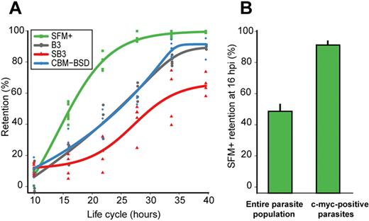 Figure 2. STEVOR proteins are involved in P falciparum–infected erythrocyte rigidity. (A) Kinetics of retention in microsphere matrices for B3 (gray), SFM+ (green), SB3 (red), and CBM-BSD (blue) parasite cultures during the parasite life cycle. Measurements were performed at 10, 16, 22, 28, 34, and 40 hpi on 2% hematocrit cultures containing 2% to 10% tightly synchronized parasites. (B) Retention rate in microsphere matrices at 16 hpi of the entire SFM+ parasite-infected erythrocyte population compared with that of the c-myc–positive SFM+ parasites. The proportion of c-myc–positive parasites before and after microsphere filtration was determined by immunofluorescence using anti–c-myc mAb and Hoechst 33342 for nuclei staining.