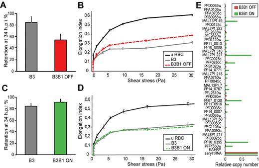 Figure 5. Switching of stevor expression in B3B1 results in increased erythrocyte rigidity. (A,C) Retention rate of erythrocytes infected with B3 (gray bar) and B3B1 before (B3B1 OFF, red bar) or after (B3B1 ON, green bar) switching in stevor gene family expression. Measurements were performed on 2% hematocrit cultures containing 2% to 10% tightly synchronized parasites at 34 hpi. (B,D) LORCA rigidity measurements of erythrocytes infected with B3 (gray bar) and B3B1 before (B3B1 OFF, red bar) or after (B3B1 ON, green bar) switching in stevor gene family expression. Measurements were performed on MACS-concentrated cultures containing 50% synchronized parasites at 34 hpi. (E) Analysis of transcriptional levels for the stevor gene family in B3B1 line before (B3B1 OFF, red bars) and after (B3B1 ON, green bars) switching in expression. Transcriptional analysis was performed at 26 to 28 hpi during the same life cycle as the LORCA and microsphere matrix measurements. Transcription levels were normalized to the transcription level of the seryltRNA synthetase housekeeping gene (PF07_0073).
