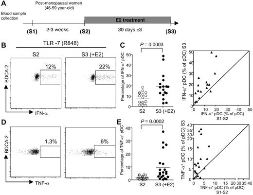 Figure 2. E2 administration increases the frequency of pDC producing IFN-α and TNF-α after TLR-7 stimulation. (A) The first 2 blood samples (S1 and S2) from early postmenopausal women volunteers were collected before E2 treatment by oral or transdermal route with standard substitutive posology. The last blood sample (S3) was collected after 30 ± 3 days of treatment. (B,D) Representative flow cytometry plots showing IFN-α (B) and TNF-α (D) production by BDCA-2+ pDCs derived from postmenopausal women before (left) or after E2 treatment (right), after 5 hours of in vitro stimulation with TLR-7/TLR-8 ligand R-848. (C,E) Percentage of pDCs from postmenopausal women before (S2) and after E2 treatment (S3), producing IFN-α (C, n = 17) or TNF-α (E, n = 21) on in vitro culture in the presence of R848. Horizontal bars indicate mean values, and P values were determined using the Wilcoxon signed rank test. (C,E) Dot plot panels show the correspondence between the values for each patient between mean S1-S2 versus S3.