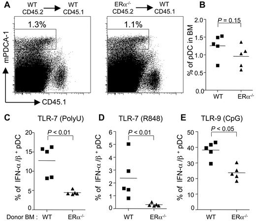 Figure 6. The enhancing effect of E2 on the TLR-mediated responses of pDC is mediated through hematopoietic ERα. WT or ERα−/− B6 bone marrow cells were injected into lethally irradiated CD45.1 WT female B6 mice. After 3 weeks of reconstitution, bone marrow cells were stimulated with polyU (C), R848 (D), or GpG-2216 (E). (A) Dot plots showing the frequency of WT or ERα−/− pDCs (mPDCA1+CD45.1−). (B) Percentage of pDCs from individual mice. (C-E) Intracellular IFN-α/β staining of pDCs derived from ERα+/+ or ERα−/− bone marrow cells. Stimulated pDCs were stained for IFN-α/β and analyzed by flow cytometry. Results from individual mice are shown. The lines on scatter plots indicate mean values. P values were determined using the Mann-Whitney U test. Data are representative of 3 independent experiments.