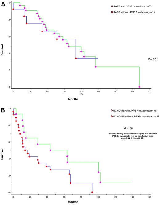 Figure 1. Survival data for patients with MDS and ring sideroblasts stratified by the presence or absence of SF3B1 mutation. (A) Survival data for 48 patients with RARS stratified by the presence or absence of SF3B1 mutations. (B) Survival data for 43 patients with RCMD-RS stratified by the presence or absence of SF3B1 mutations.