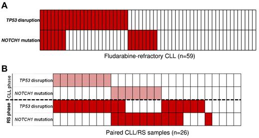 Figure 6. Timing of NOTCH1 mutations and relationship with TP53 disruption in high-risk CLL. (A) NOTCH1 mutations and TP53 disruption in fludarabine-refractory CLL. In the heatmap, rows correspond to the NOTCH1 and TP53 genes, and columns represent individual patients color-coded based on the gene status (white, wild type; red, mutations of NOTCH1 and disruption of TP53). (B) NOTCH1 mutations and TP53 disruption in sequential CLL/RS samples. In the heatmap, rows correspond to the NOTCH1 and TP53 genes. Columns represent individual patients color-coded based on the gene status (white, wild type; pink, mutations of NOTCH1 and disruption of TP53 in the CLL phase; red, mutations of NOTCH1 and disruption of TP53 at RS transformation).