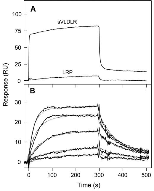 Figure 3. Analysis of interaction of the (β15-66)2 fragment with the LDLR family members, VLDLR and LRP, by SPR. (A) The (β15-66)2 fragment at 1μM was added to immobilized sVLDLR or LRP, and its association/dissociation was monitored in real time. (B) The (β15-66)2 fragment at increasing concentrations, 0.5, 1, 2.5, 5, and 10nM, was added to immobilized sVLDLR, and its association/dissociation was monitored in real time (solid curves). The dotted curves represent the best fit of the data with the use of the kinetic analysis. The curves in panels A and B are representative of 2 and 4 independent experiments, respectively. All experiments were performed in HBS-P buffer containing 1mM CaCl2.