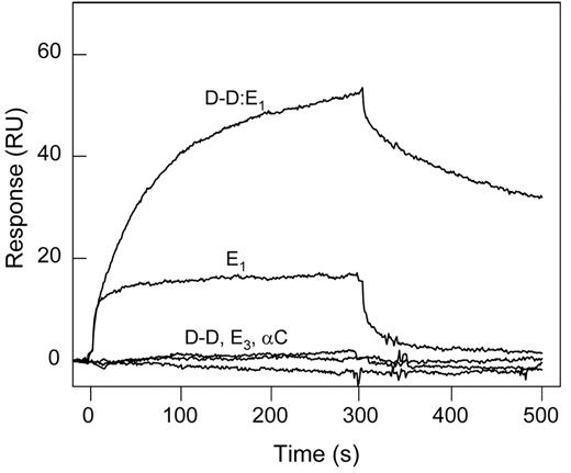 Figure 5. Interaction of fibrin(ogen) fragments with the VLDLR detected by SPR. Fibrin(ogen) fragments, D-D, E1, E3, αC fragment, or the (D-D)E1 complex, all at 1μM, were added to immobilized sVLDLR, and their association/dissociation was monitored in real time. The curves are representative of 2 independent experiments performed in HBS-P buffer containing 1mM CaCl2.