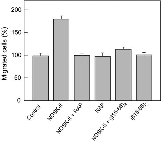 Figure 6. Inhibitory effect of RAP on NDSK-II–induced transendothelial migration of neutrophils in vitro. HUVECs were grown to confluence on gelatin-coated cell culture inserts. Calcein AM–labeled HL-60 cells differentiated into neutrophil-like cells were added to the upper chambers on top of the HUVEC monolayer in the presence of PBS used as a control or 1.5μM NDSK-II without or with 0.5μM RAP or 10μM (β15-66)2; RAP and (β15-66)2 at the same concentrations without NDSK-II were also added. The cells were allowed to migrate into the lower chambers containing chemoattractant fMLP for 4 hours at 37°C, collected, and measured by fluorescence at 530 nm. The results are expressed as percentage of HL-60 cells migrated in the presence of PBS (control). The graph shows combined data obtained from 2 independent experiments; bars denote means ± SEs (n = 6-9 wells for each condition).