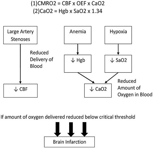 Figure 8. Potentially synergistic factors leading to SCI in SCA. Modified from DeBaun et al54 with permission. Equation 1: The CMRO2 is the cerebral metabolic rate for oxygen. The brain relies on a constant delivery of oxygen to maintain CMRO2. If the delivery is inadequate, permanent tissue injury can occur, depending on the depth and duration of the ischemia. The equation above relates cerebral blood flow (CBF; the bulk delivery of blood to the brain), oxygen extraction fraction (OEF; the fraction of available oxygen blood that leaves the blood by passive diffusion as it passes through the circulation), and the arterial oxygen content (CaO2). Equation 2: CaO2, in turn, is a product of the hemoglobin content of blood and the arterial oxygen saturation. Reduced hemoglobin (Hgb; or oxygen carrying capacity of the existing Hgb) or hypoxia may reduce the arterial oxygen content. One can see the potentially synergystic effects of these relationships in reducing the oxygen delivery to the brain below critical thresholds. CaO2 can fall because of anemia and hypoxia and CBF can fall because of the large artery vasculopathy. Patients with preexisting arteriopathy may be more likely to suffer an ischemic stroke than other patients with the same degree of anemia or hypoxia.