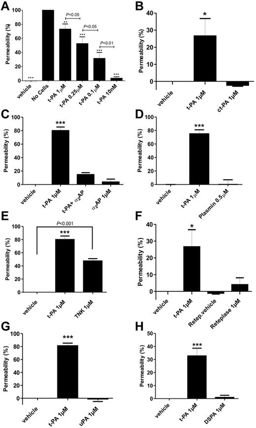 Figure 1. t-PA–mediated increase in BBB permeability is plasmin-dependent and unique to t-PA and its highly related variant tenecteplase. (A) Increasing concentrations of human t-PA were added to the luminal chamber of the in vitro BBB and the transfer of FITC-BSA to the abluminal chamber assessed after 24 hours (n = 5; ***P < .001, **P < .01 compared with “no cells”). (B) t-PA–mediated increase in permeability requires catalytically active t-PA. t-PA (1μM) and ct-PA (1μM) were added to the BBB as described in panel A, and permeability was assessed after 24 hours. As shown, inactive t-PA does not increase permeability of the BBB (n = 3). (C) t-PA–mediated increase in permeability is plasmin-dependent. t-PA (1μM) was added to the BBB as described in panel A in the absence or presence of α2–anti-plasmin (α2AP; 1μM), and permeability was assessed after 24 hours. α2AP blocked the ability of t-PA to increase permeability (n = 4). (D) Plasmin cannot substitute for t-PA to increase permeability. t-PA (1μM) or human plasmin (500nM) was added to the luminal chamber of the BBB, and permeability was assessed after 24 hours. As shown, plasmin alone fails to promote an increase in permeability (n = 3). (E-H) t-PA (1μM) was added to the luminal chamber of the BBB, and the extent of permeability compared at 24 hours with tenecteplase (TNK, 1μM, n = 4; E), reteplase (1μM), and its vehicle (n = 3; F), urokinase (u-PA, 1μM, n = 6; G), or desmoteplase (DSPA, 1μM, n = 6; H). Only t-PA and its structurally related variant TNK-tPA can augment BBB permeability. In all panels, bars represent mean ± SEM (in B-H, ***P < .001, *P < .05 compared with all other groups).